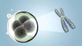 同是ncrna研究,你離國自然中標(biāo)還有多遠